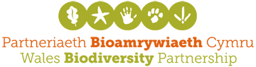 Wales Biodiversity Partnership