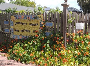 Community Gardens