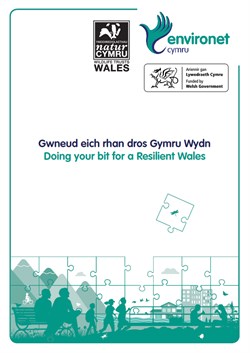 Gwneud Eich Rhan Dros Gymru Wydn