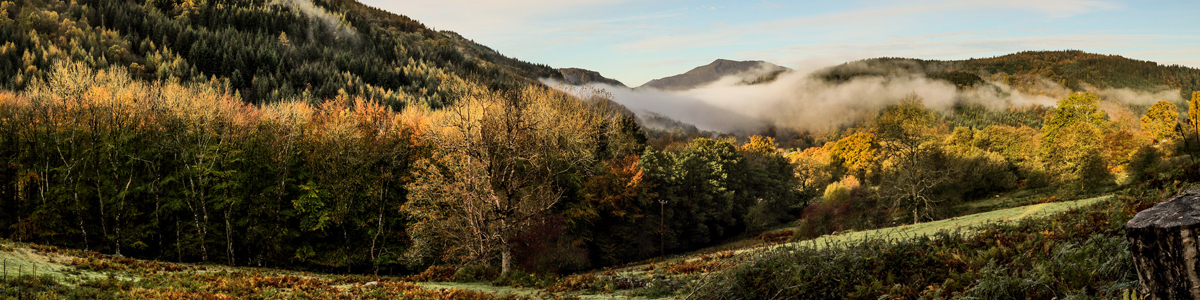 Lledr Valley