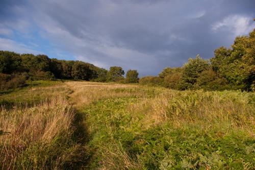 Enclosed Farmland