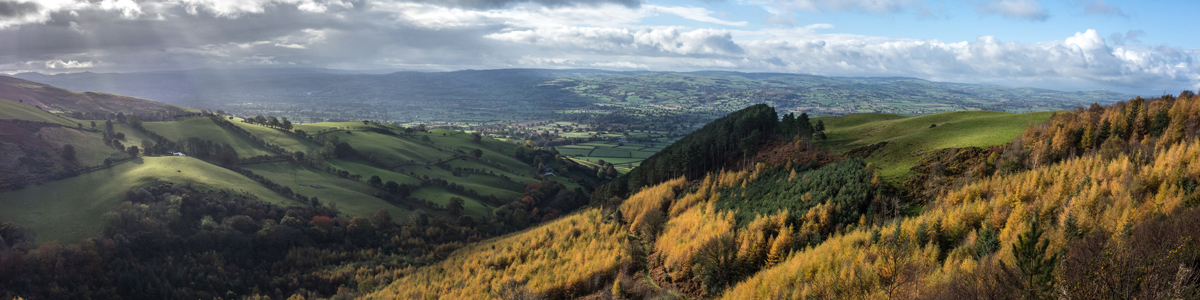 Vale of Clywd - Alun Williams