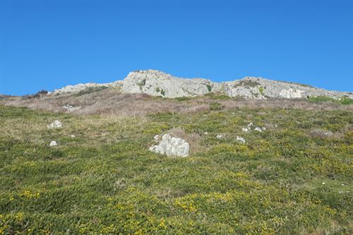 Hill