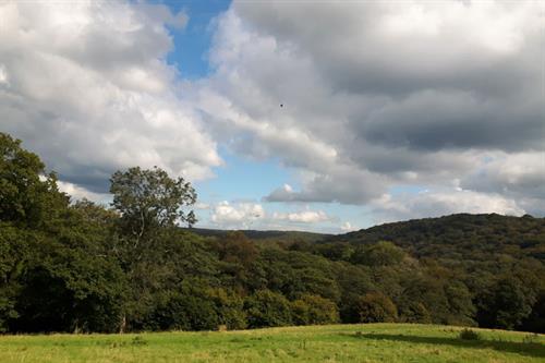 Biodiversity in Wales