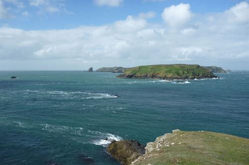 Skomer Island NRW