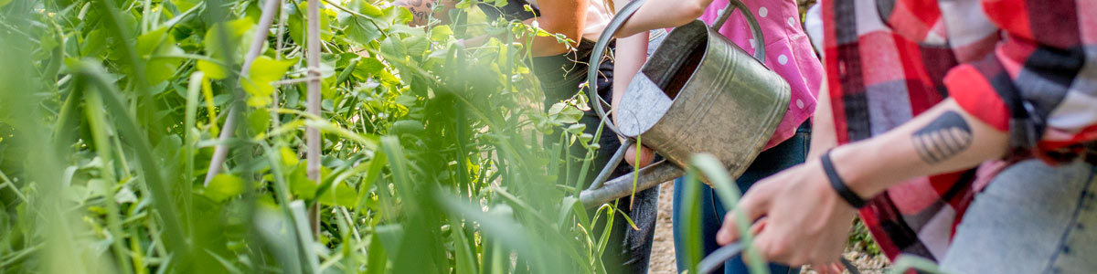 Community Gardens