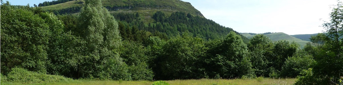 Blaencwm gan Ray Edwards