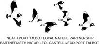 Castell-nedd Port Talbot