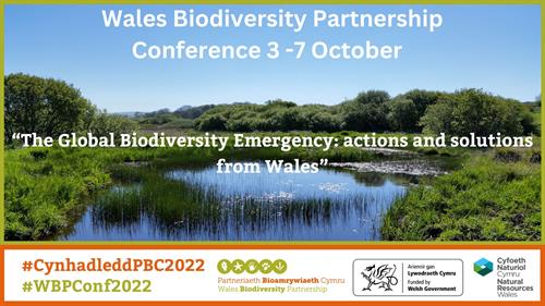 WBP_Conference_2022